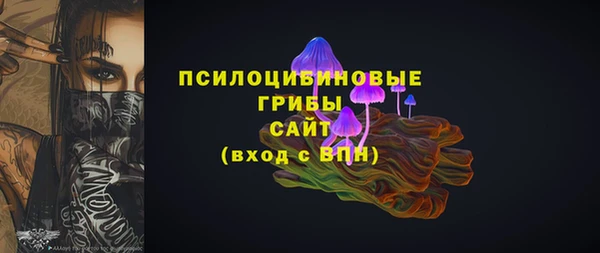 не бодяженный Алексин