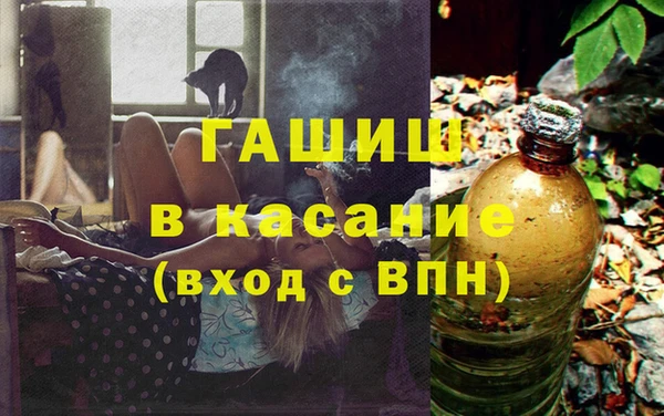 шишки Арсеньев