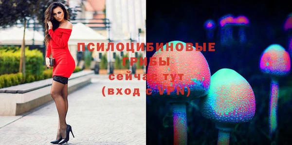 круглые Алзамай