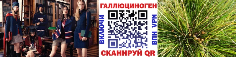 Галлюциногенные грибы мухоморы  Лесной 