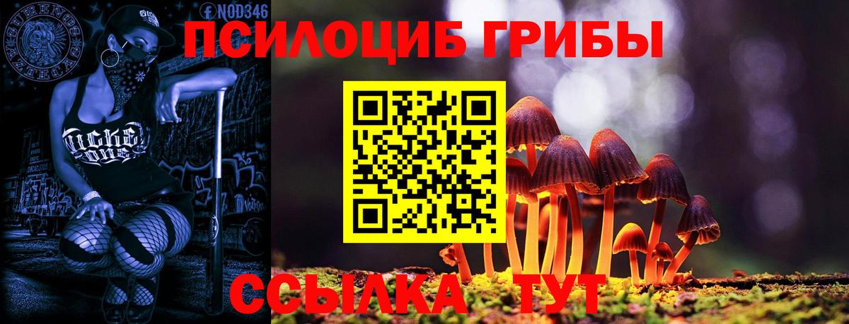 Псилоцибиновые грибы GOLDEN TEACHER  Вход с VPN  Лесной  Галлюциногенные грибы мухоморы 